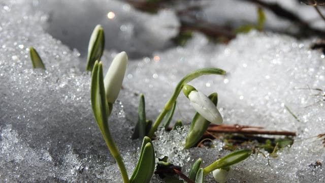 وضعیت نگرانکننده بارشها در کشور؛ تنها ۳۶ درصد نیاز آبی تأمین شد